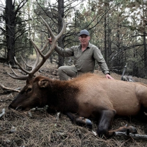 Mature bull elk taken with SNS Outfitter & Guides on Wyoming elk hunt